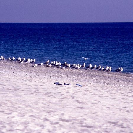 Praialinda Badolato Marina エクステリア 写真